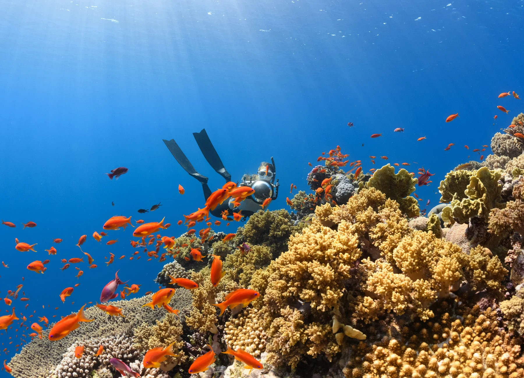 Snorkeling in the lagoon