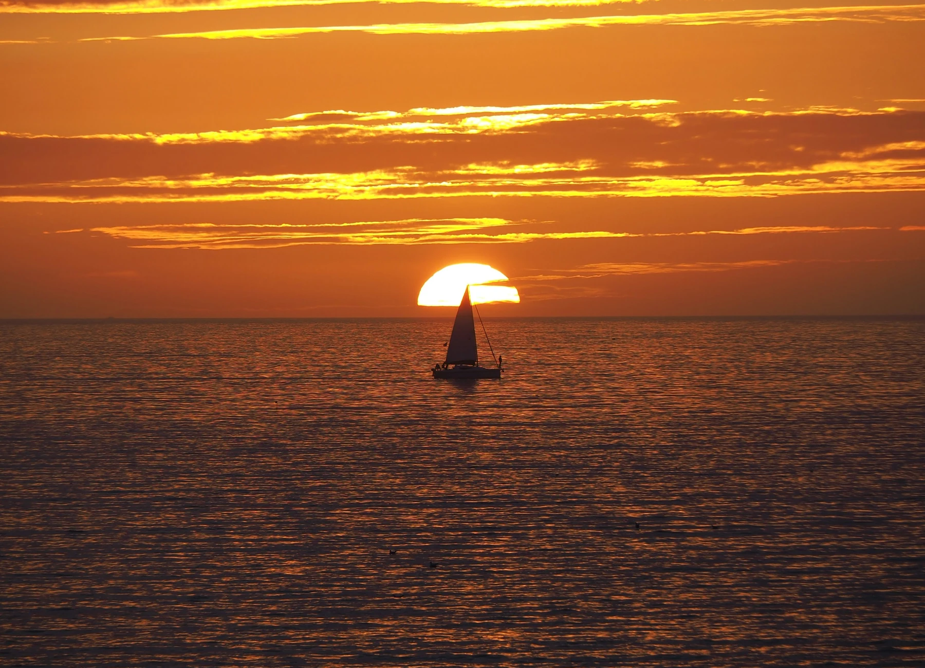 Sailing boat at sunset