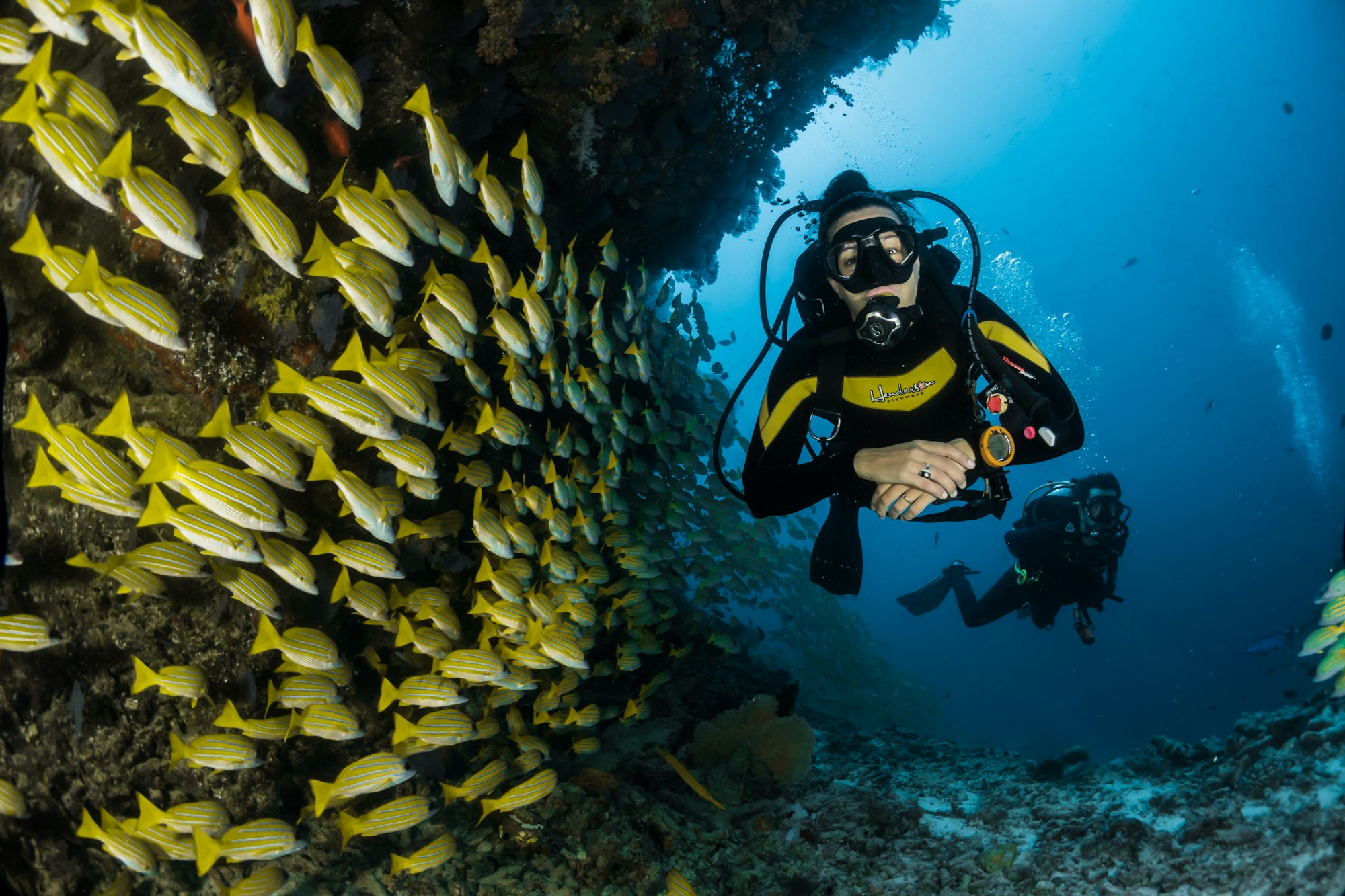 Sport fishing and big game fishing in Mauritius